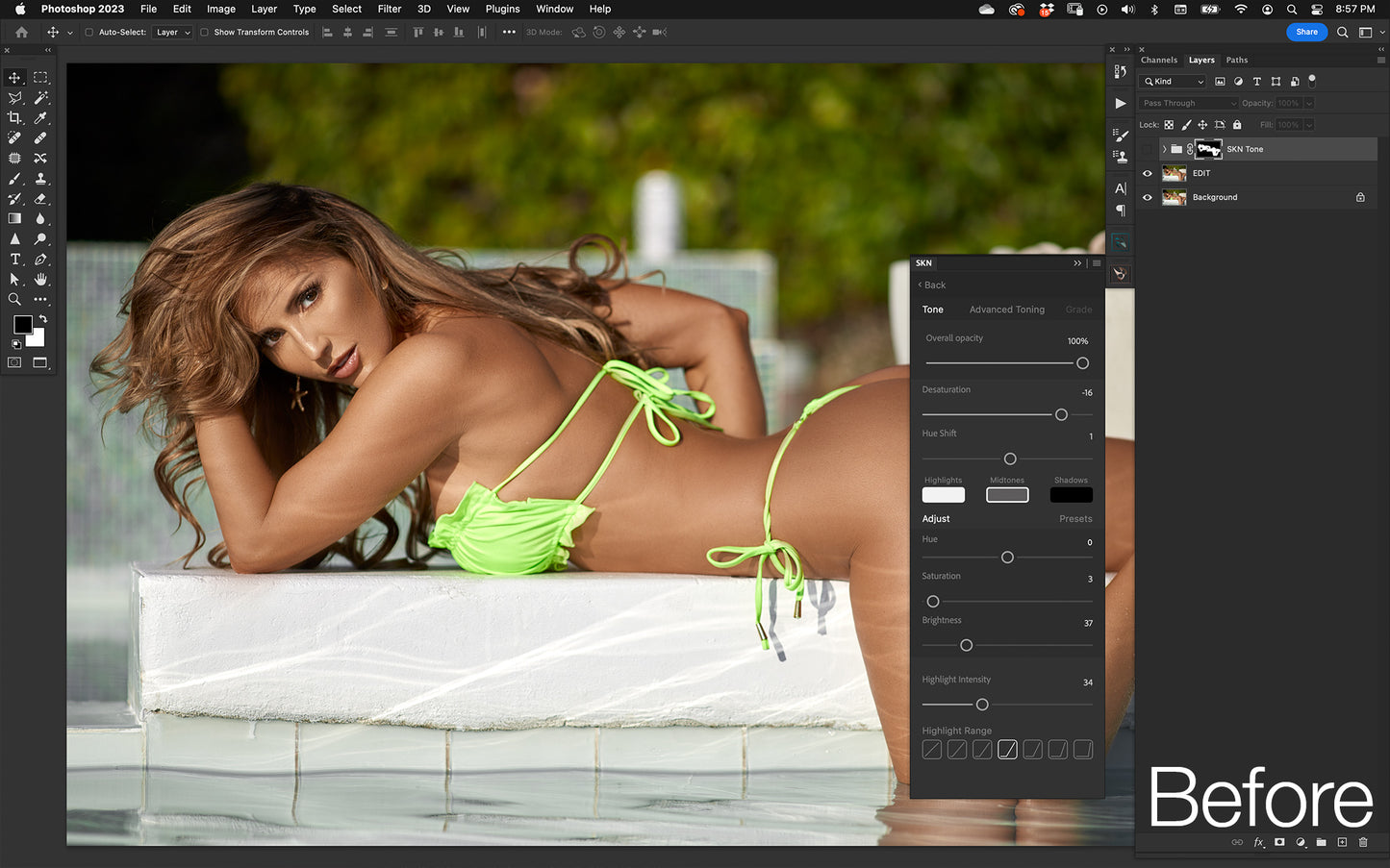NBP SKN Panel for Photoshop