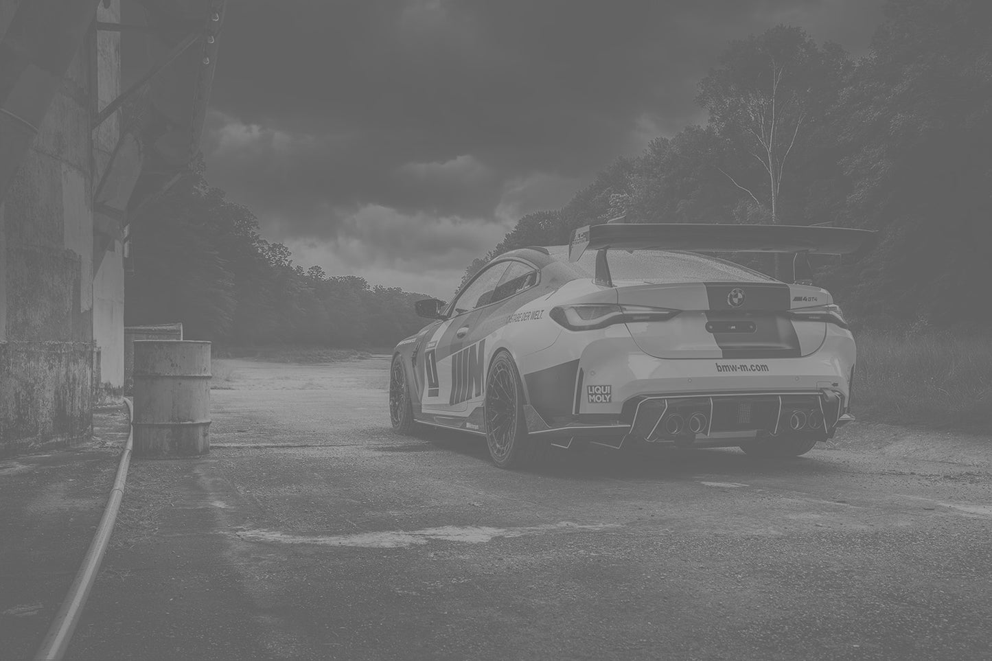 NBP Actions: Monochrome