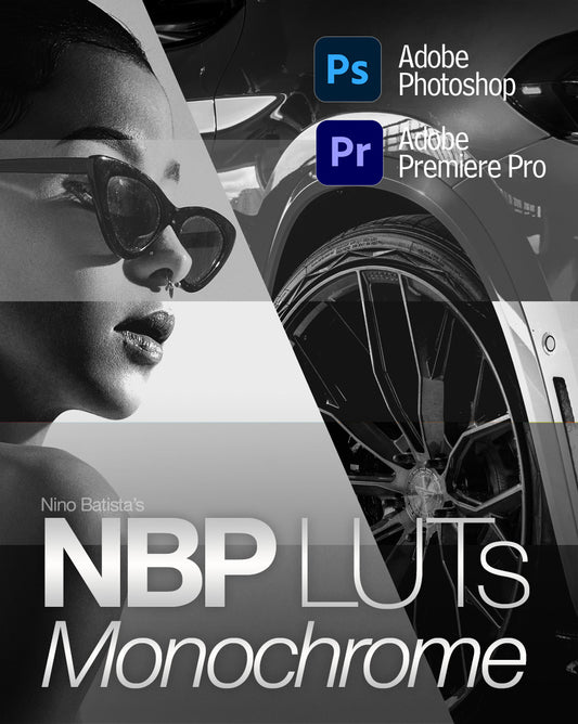 NBP LUTs: Monochrome