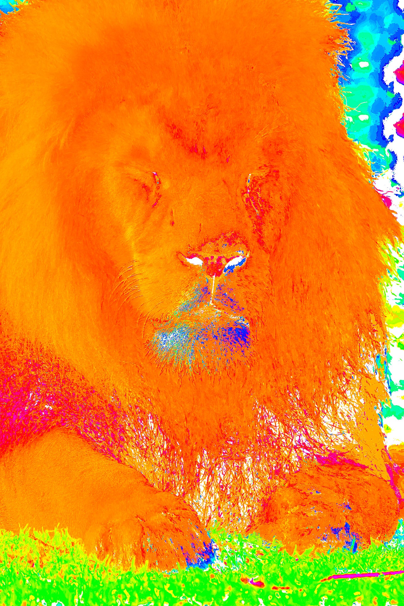 NBP Actions: Saturation Visualizers