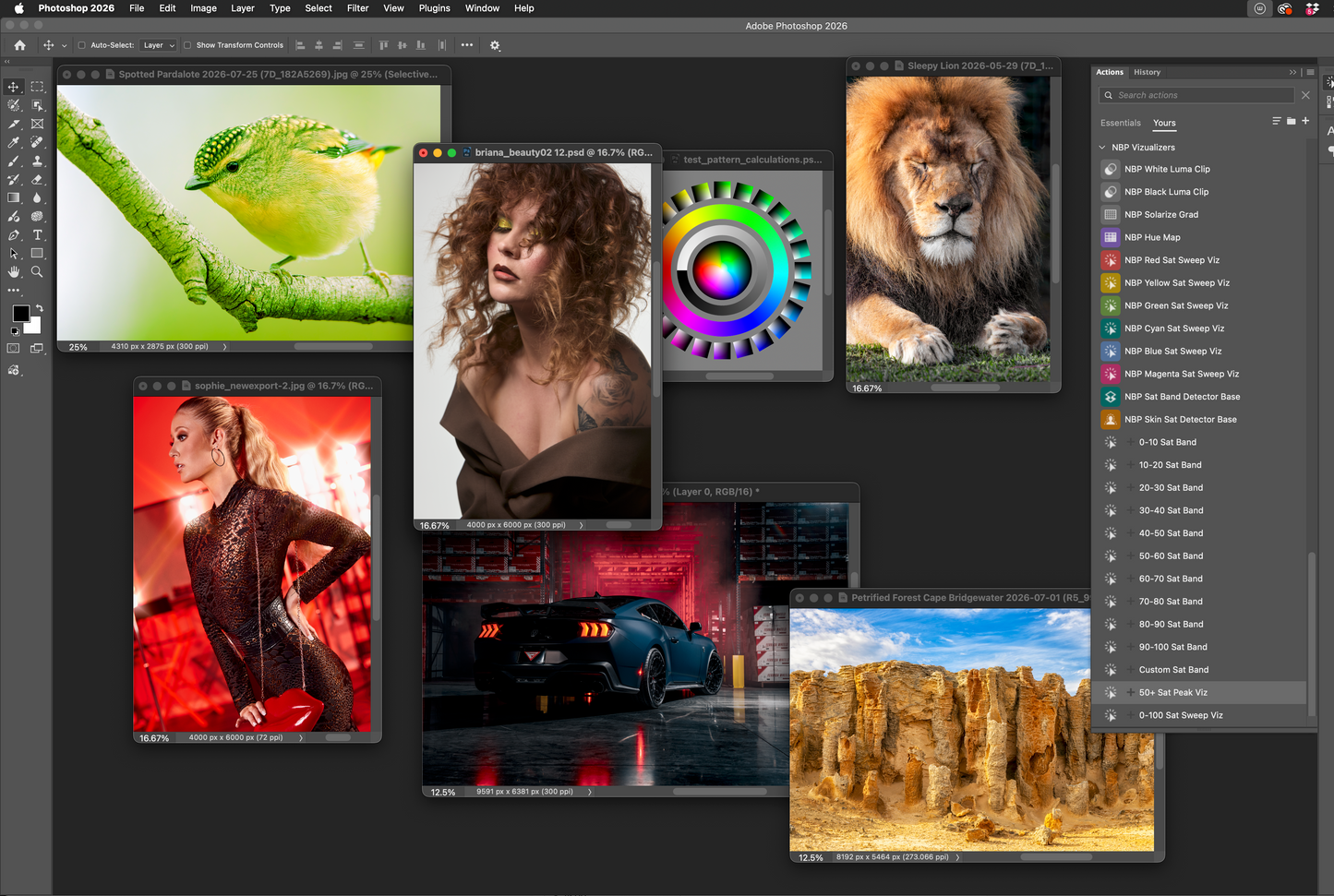 NBP Actions: Saturation Visualizers