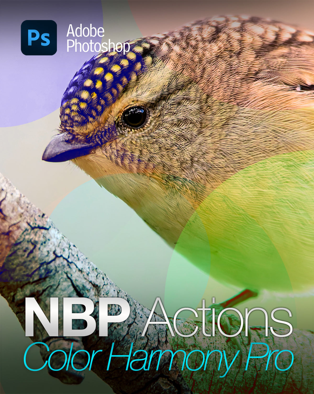 NBP Actions: Color Harmony Pro for Photoshop