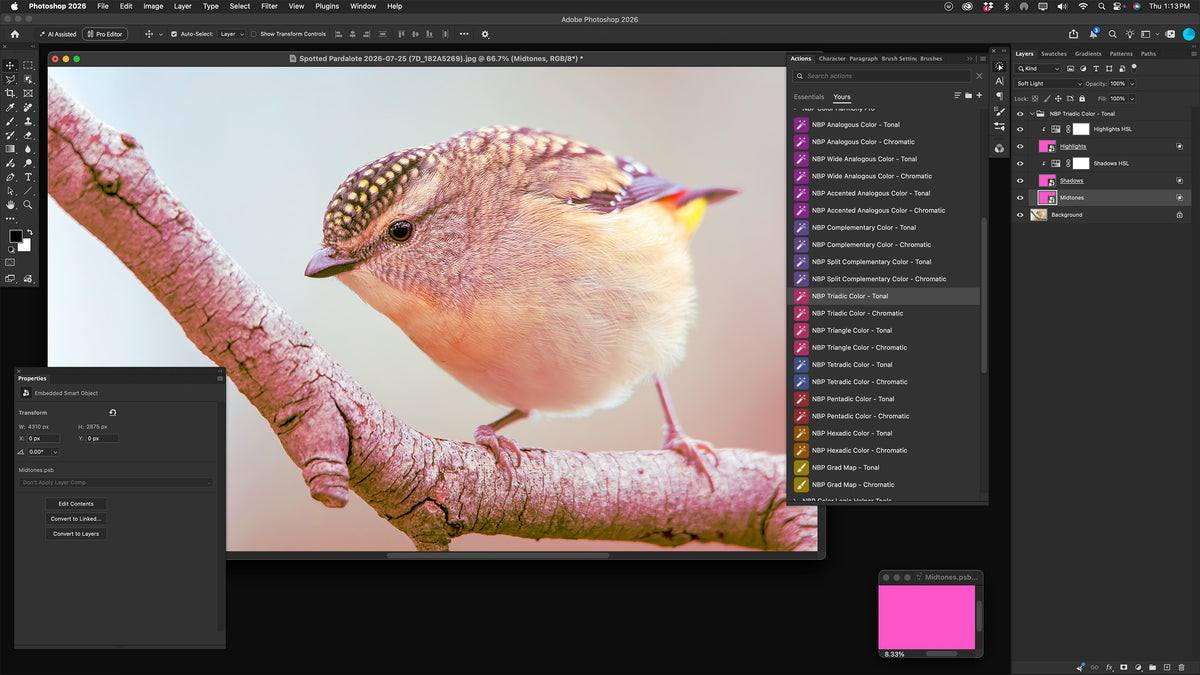 NBP Actions: Color Harmony Pro for Photoshop