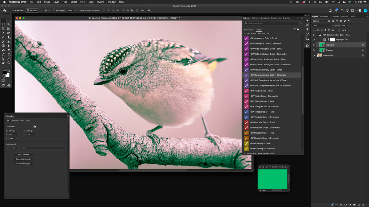 NBP Actions: Color Harmony Pro for Photoshop
