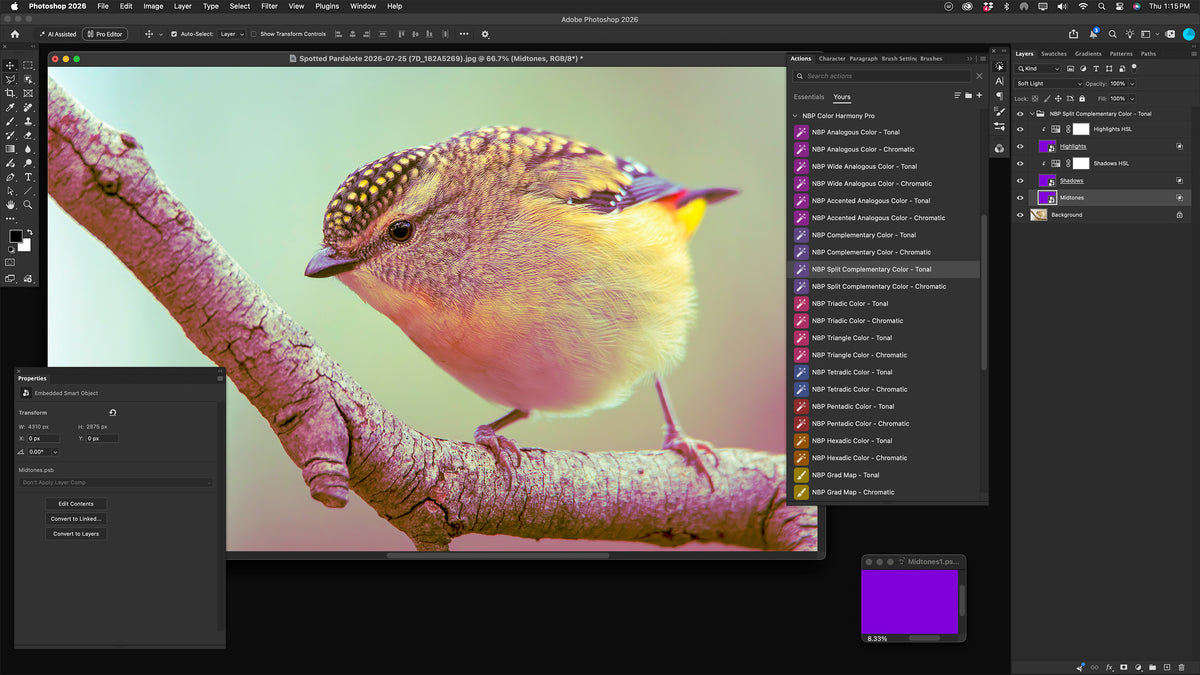 NBP Actions: Color Harmony Pro for Photoshop