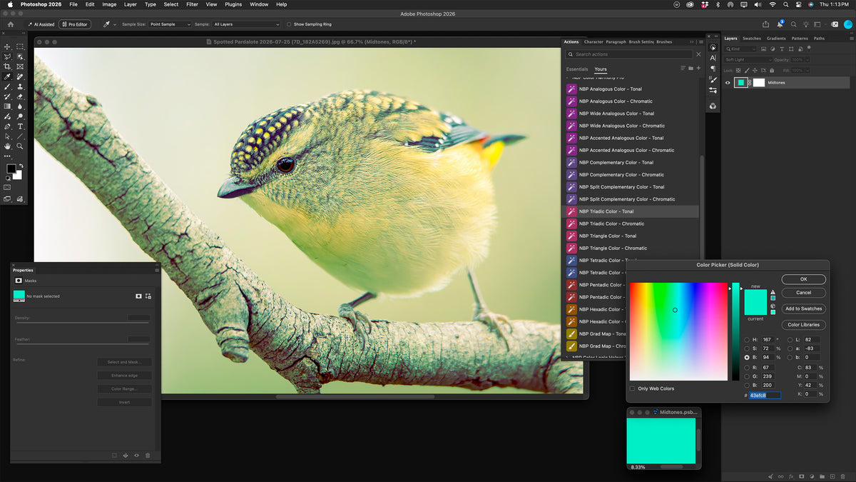 NBP Actions: Color Harmony Pro for Photoshop