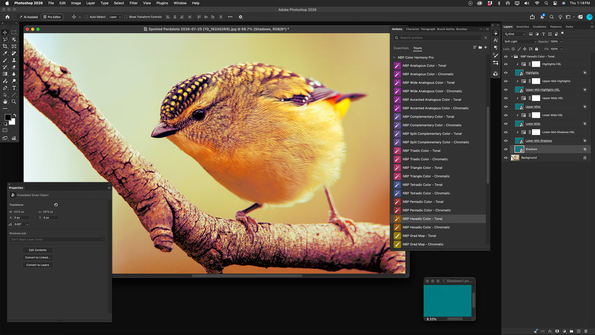 NBP Actions: Color Harmony Pro for Photoshop