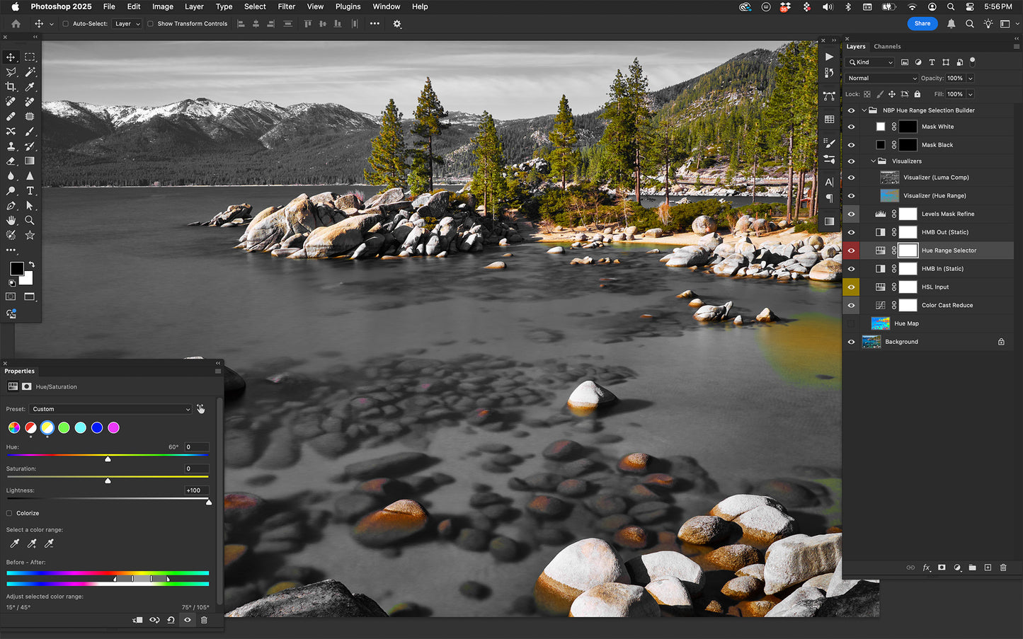 NBP Actions: Precision SM Pro