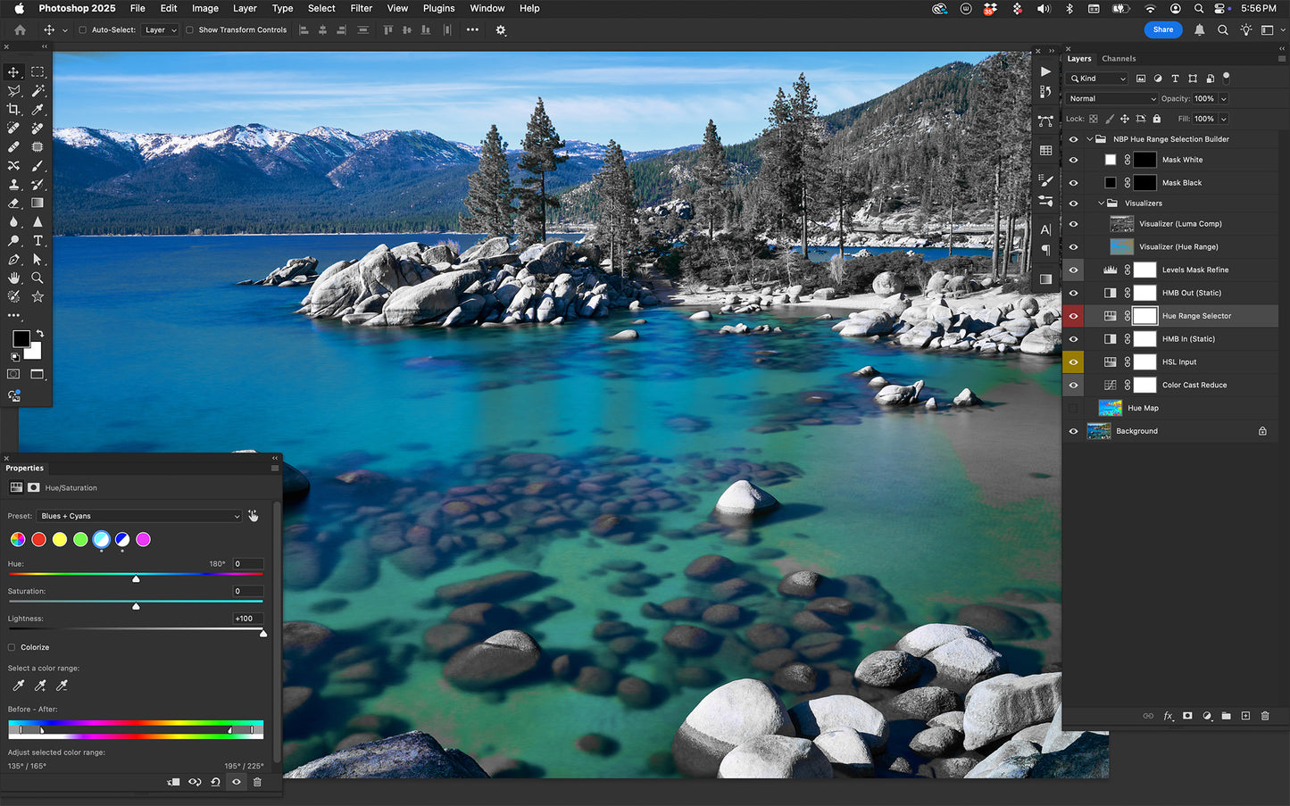 NBP Actions: Precision SM Pro