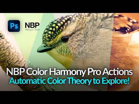 NBP Actions: Color Harmony Pro for Photoshop